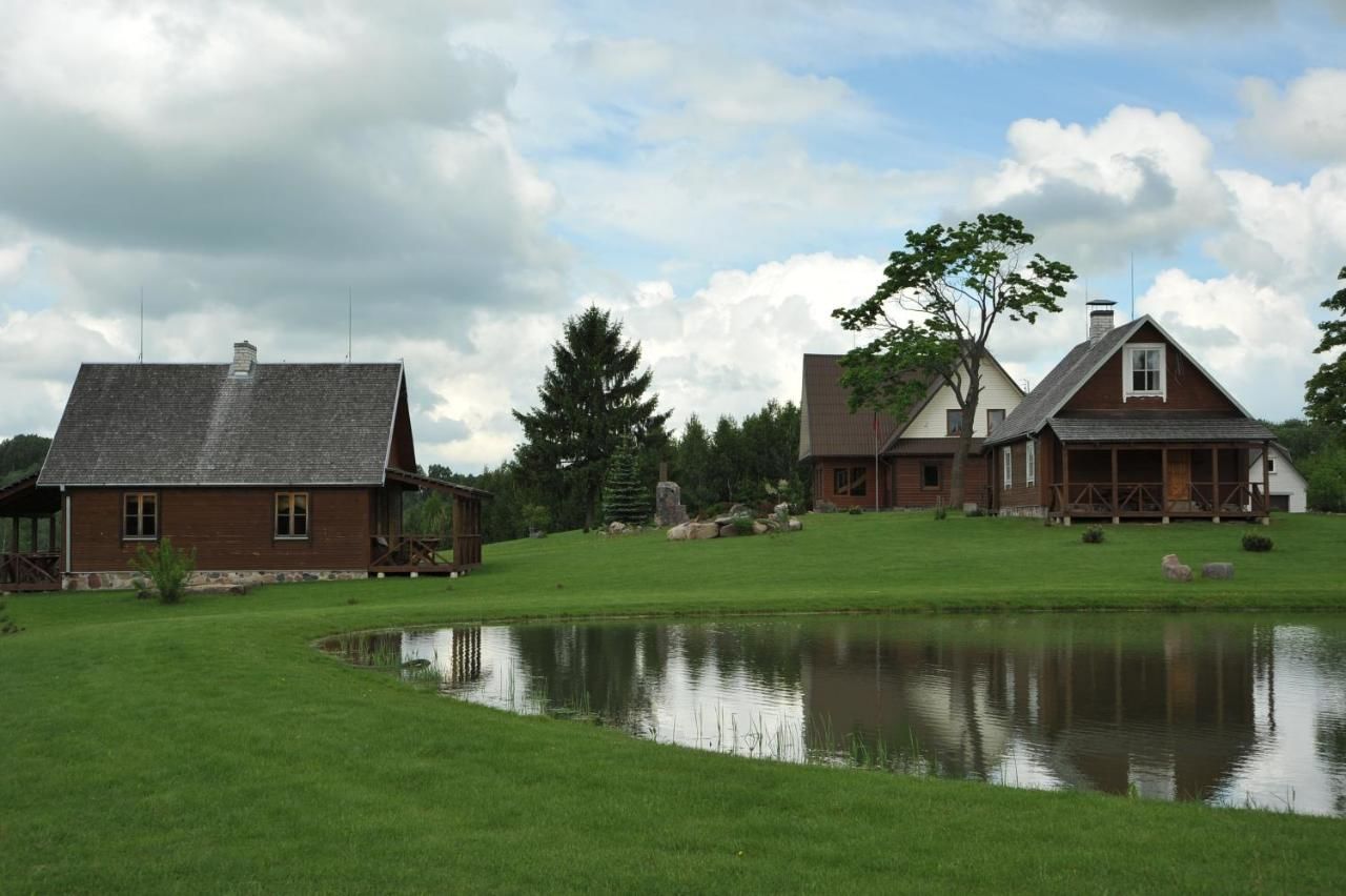 Загородные дома Country Houses Vidų Sodyba Утена-35