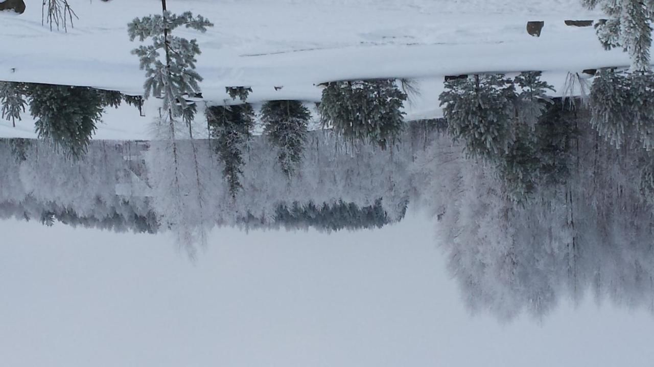 Загородные дома Country Houses Vidų Sodyba Утена-8